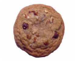 Chocolate Chip Pecan